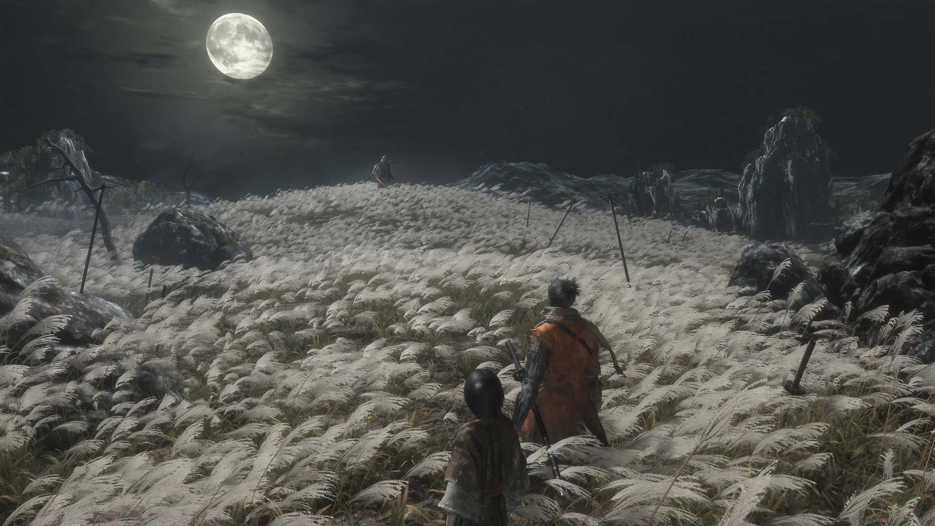 Destructoid's award for Best PS4 Game of 2019 goes to...