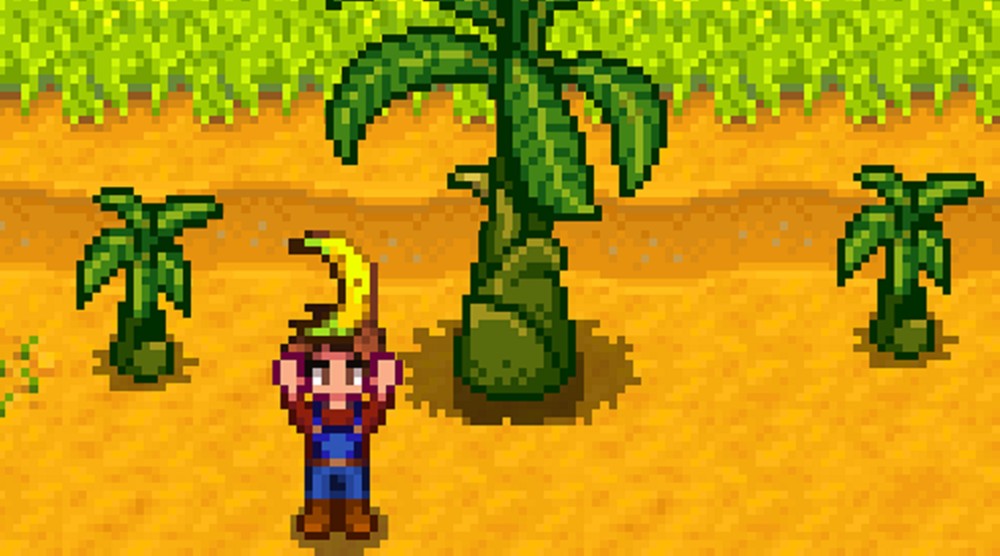 The creator of Stardew Valley says there's a 'good chance' of getting a physical Switch release in the west