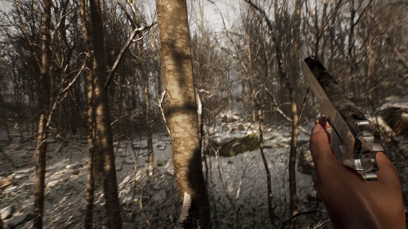 Survival horror game Abandoned is about waking up alone and hunted in the woods