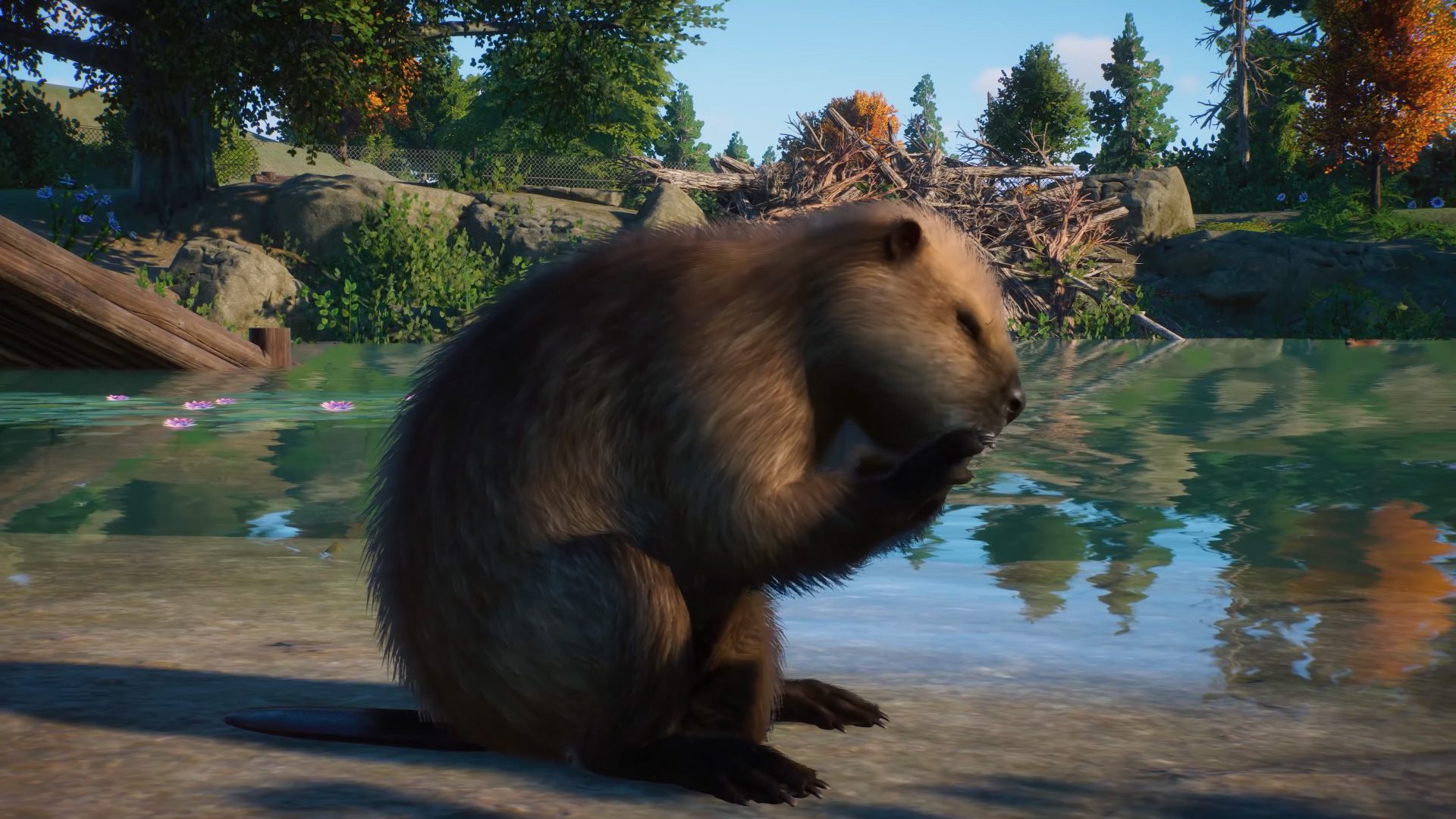 Planet Zoo's North America Animal Pack adds fan-favorite critters