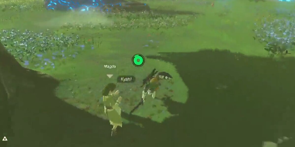 This person got their revenge on the infamous Zelda: Breath of the Wild flower shrine caretaker
