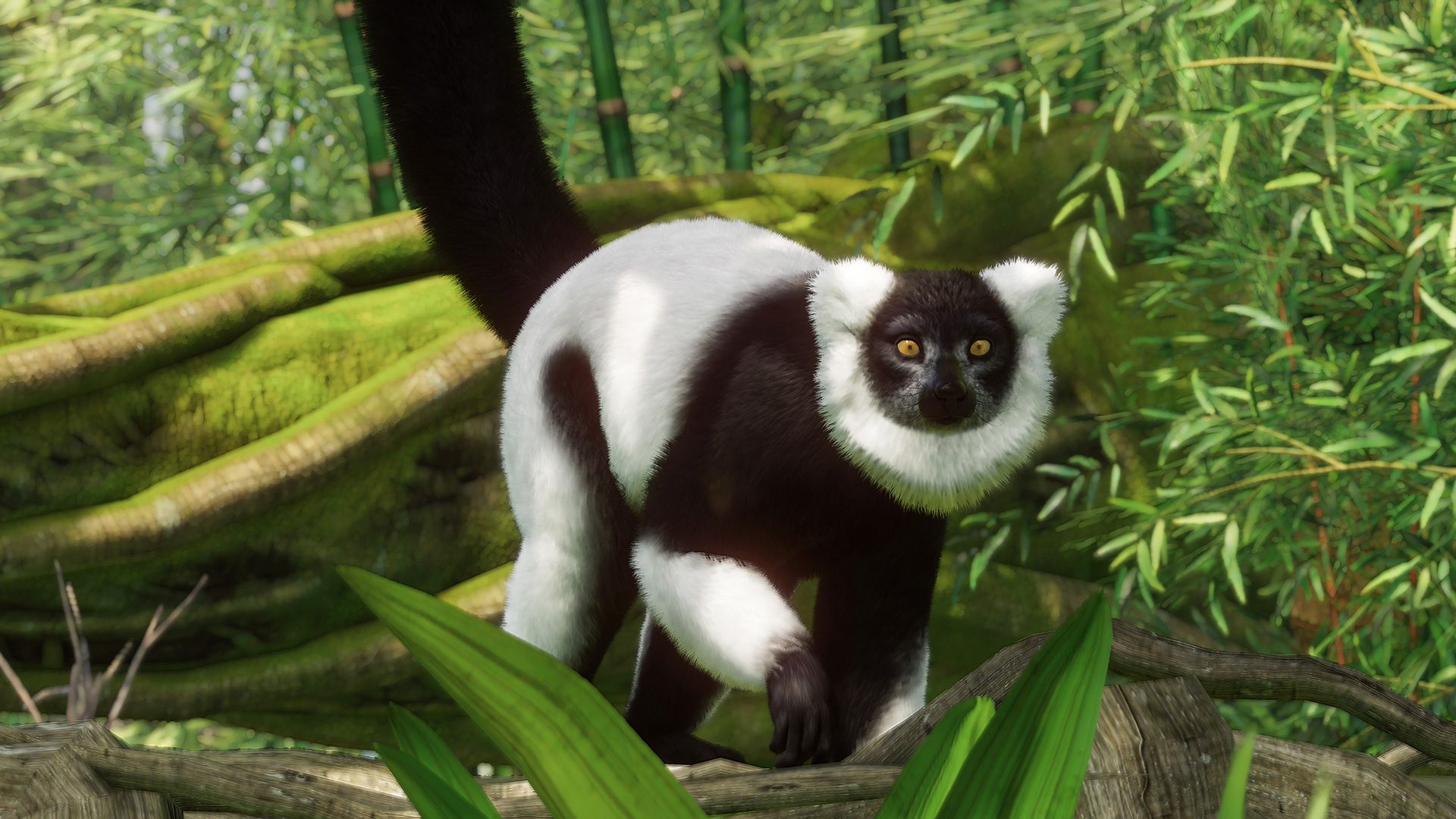 Planet Zoo has a free birthday update with the black and white ruffed lemur and cupcakes