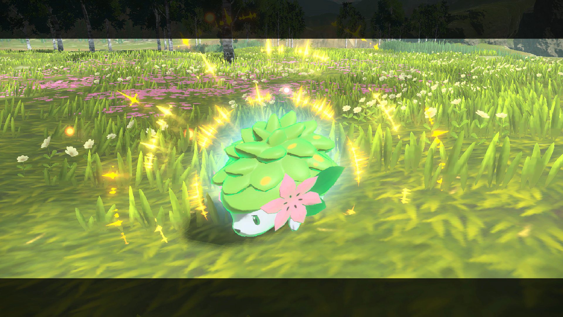 Pokemon Legends: Arceus players can get Shaymin if they have Sword or Shield data