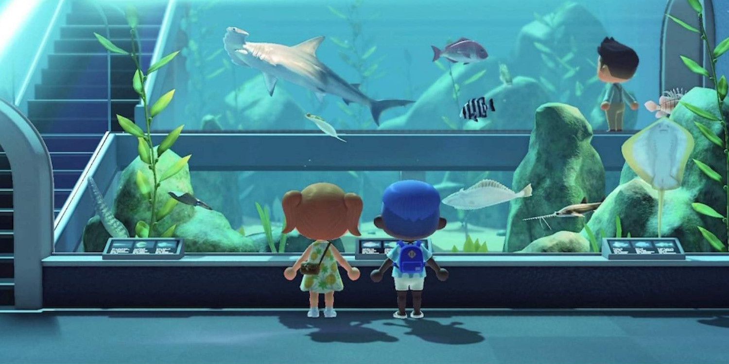 Animal Crossing is teaching pandemic babies what museums are