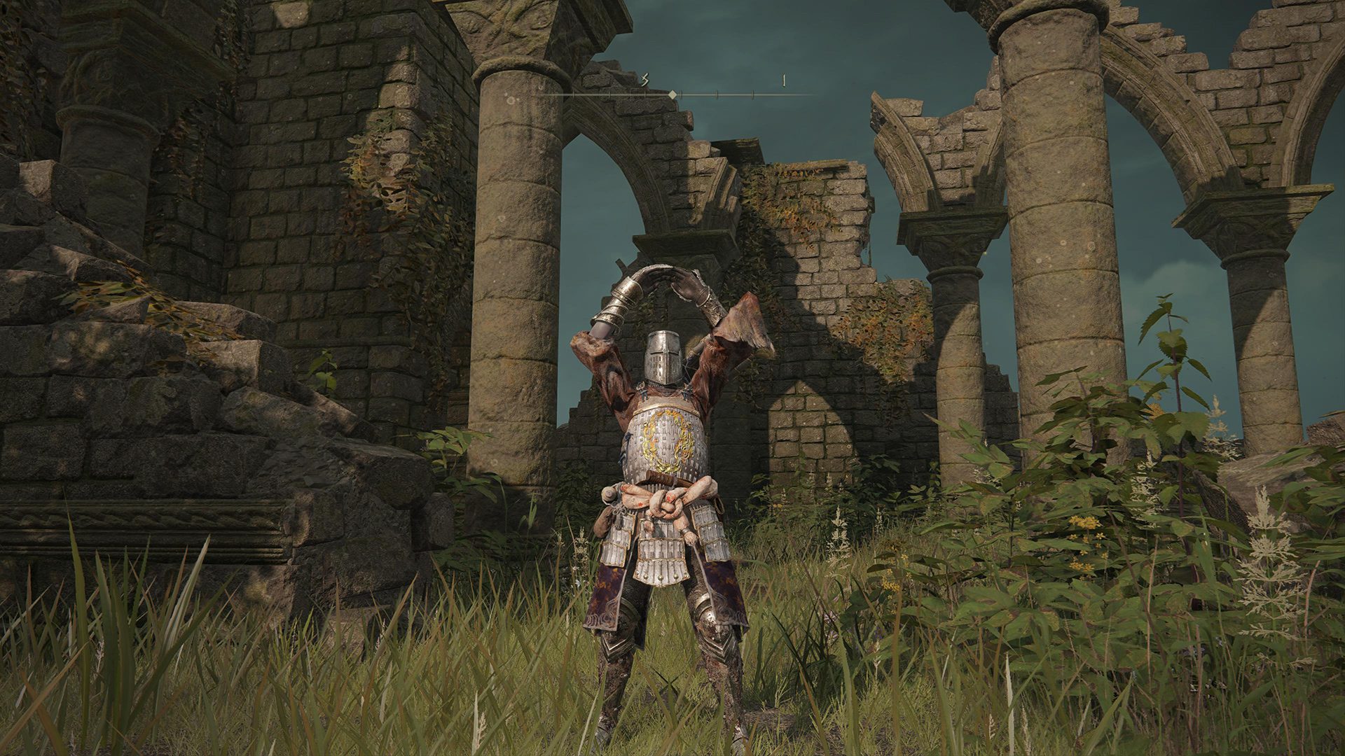 Turn off motion controls in Elden Ring to avoid accidental gestures