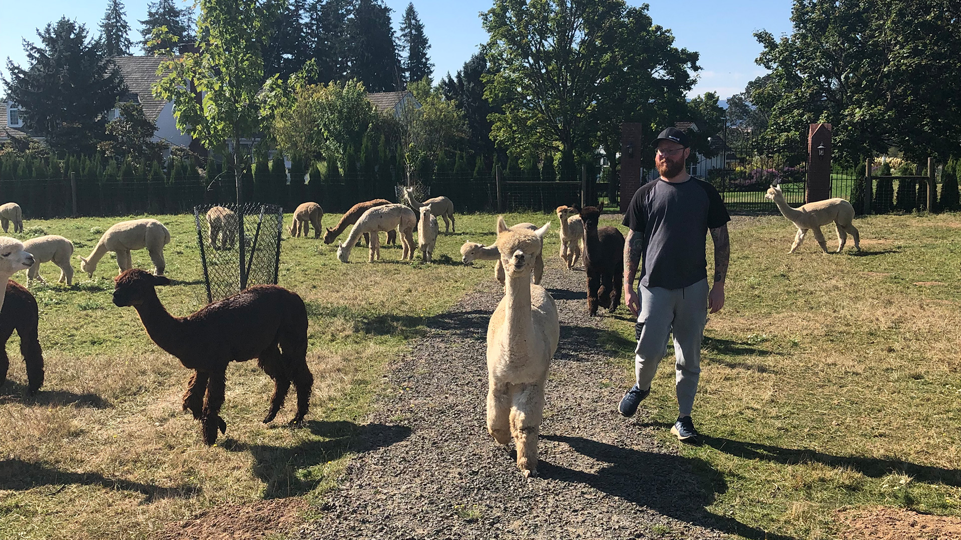A bittersweet goodbye from Jordan