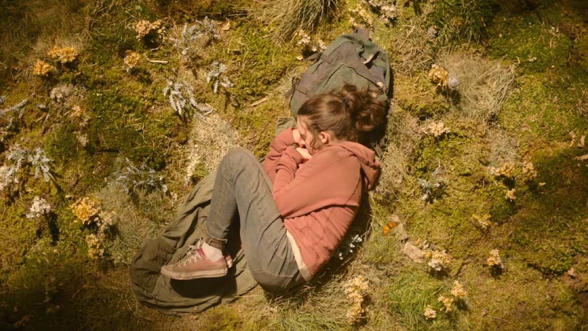 HBO's The Last of Us has been renewed for a second season