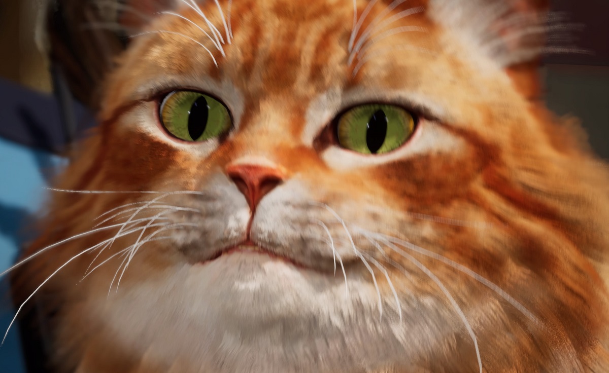 Whatcha been playing this week, Destructoid?