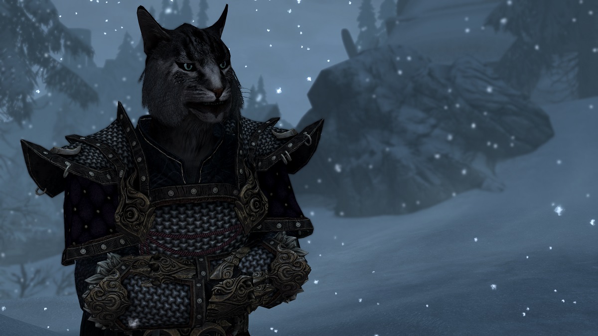 This Skyrim mod gives the game a much-needed photo mode