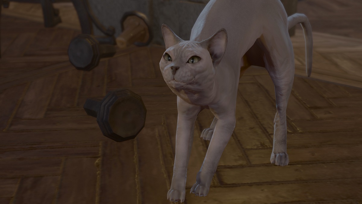 Baldur's Gate 3 hotfix sees His Majesty returned to original, furless glory