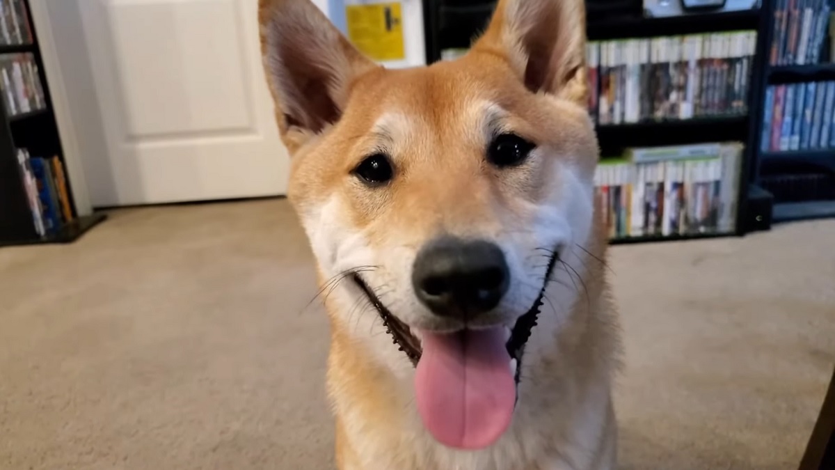 For the first time ever, Games Done Quick will have a canine speedrunner
