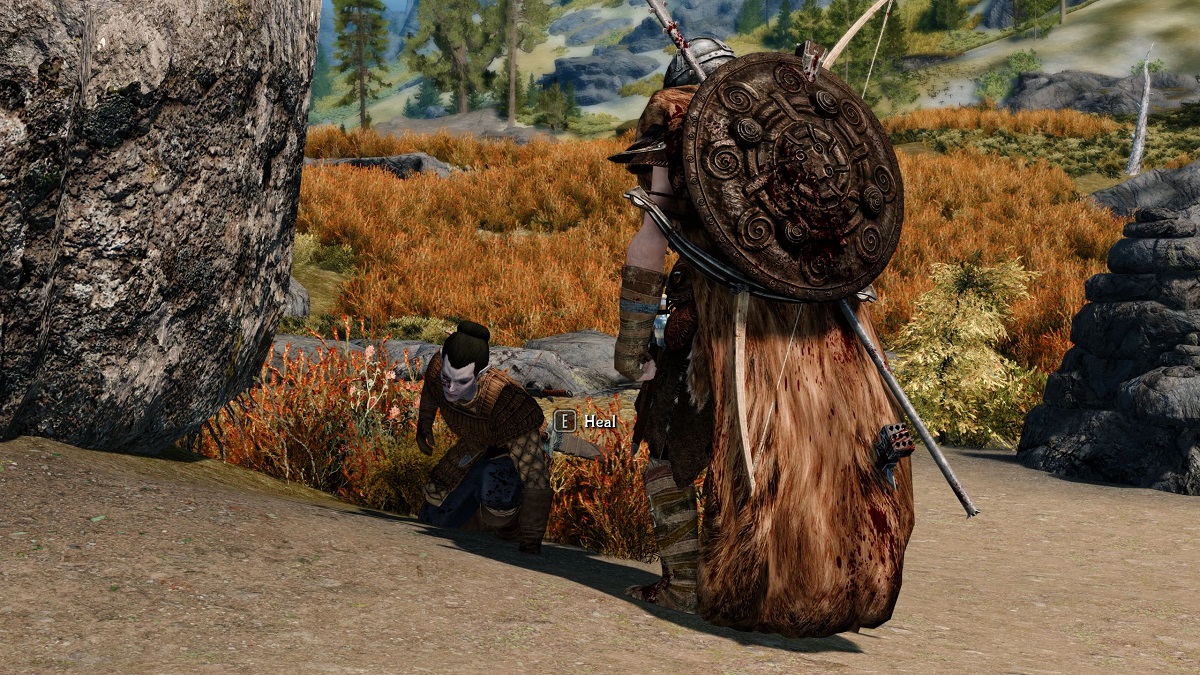Skyrim now allows you to "press E to heal followers," thanks to this mod