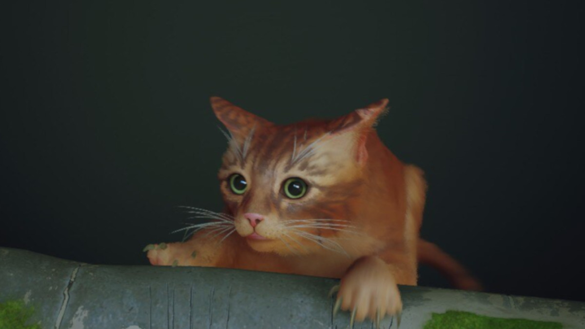 Catching up with BlueTwelve and the world of Stray, right meow