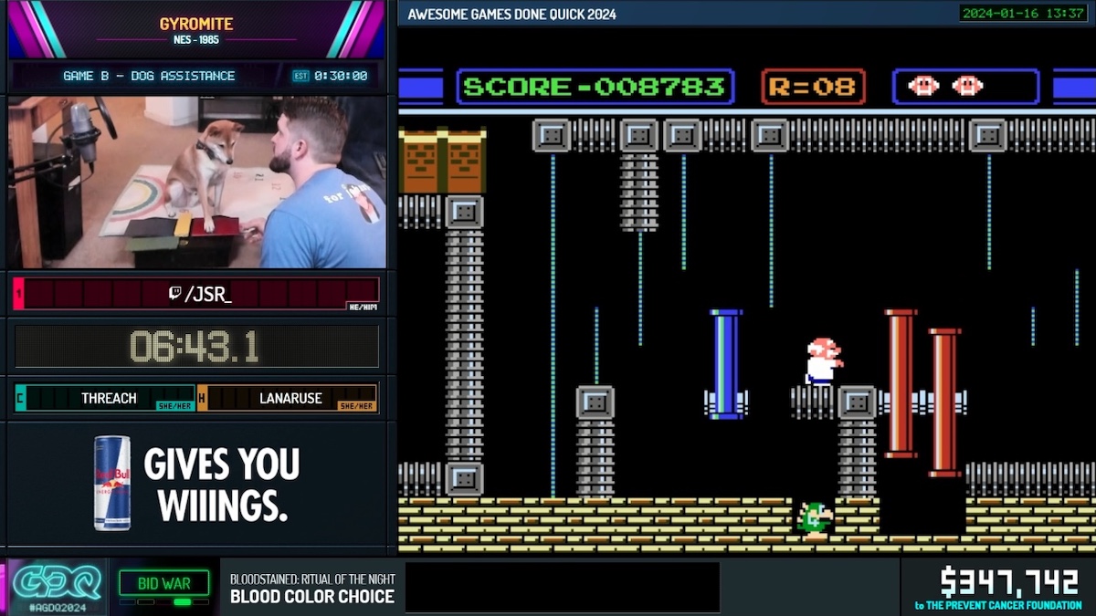 Games Done Quick's first dog speedrunner is adorable, extremely good at Gyromite