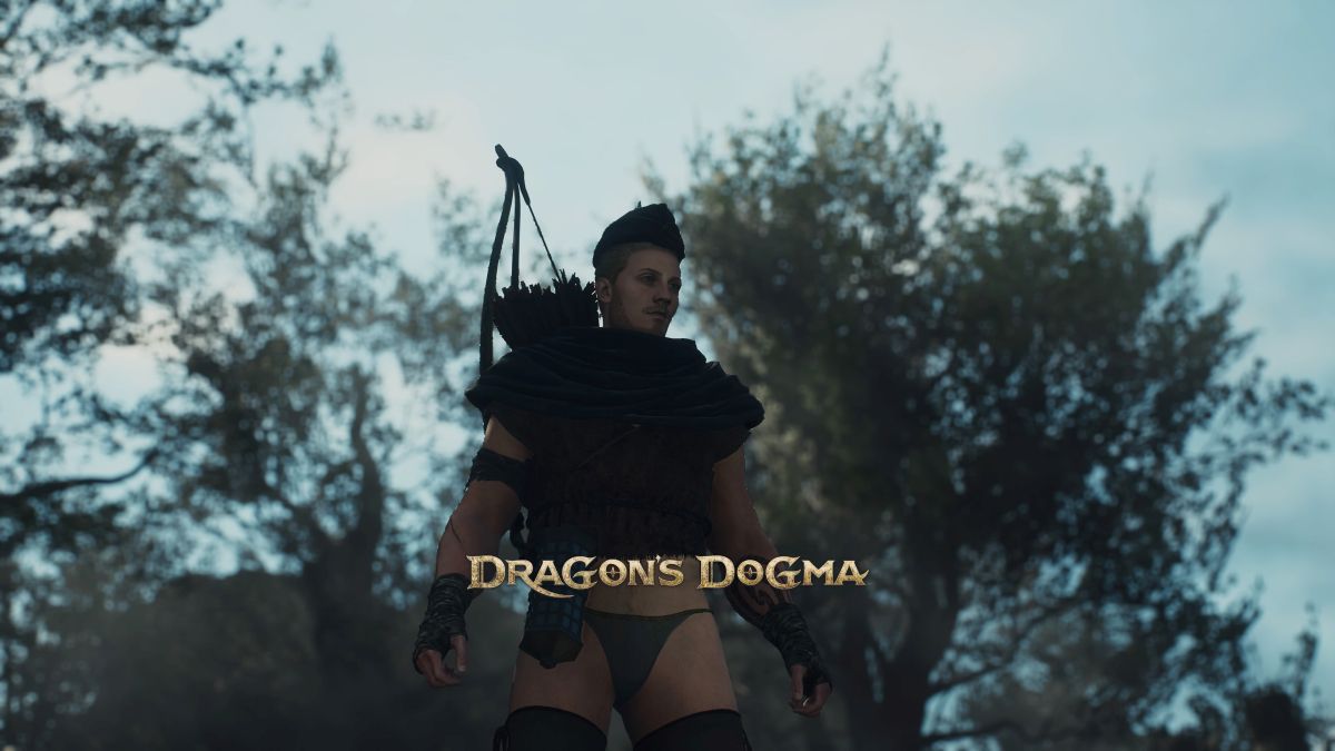 Local Dragon's Dogma 2 player swears he's wearing it for the stats