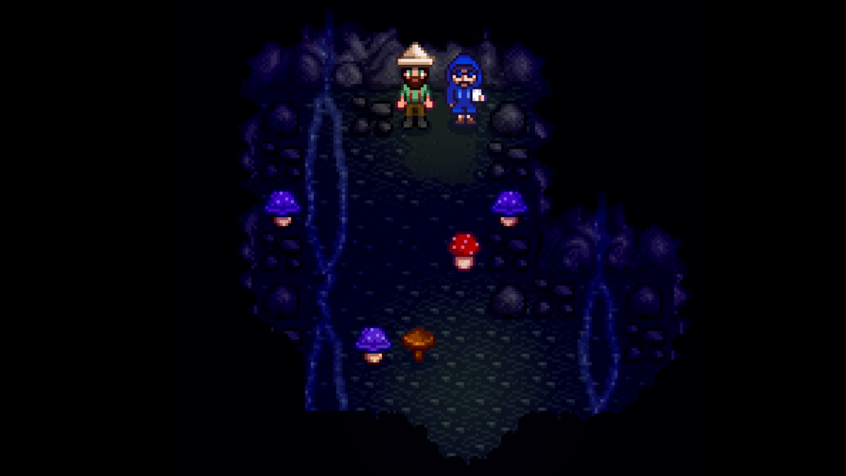 How to find Fizz in Stardew Valley