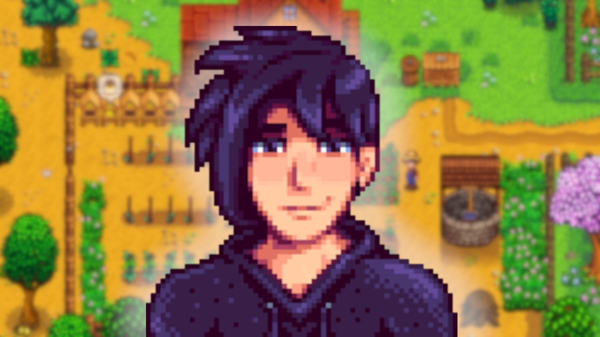 What does Sebastian like in Stardew Valley?