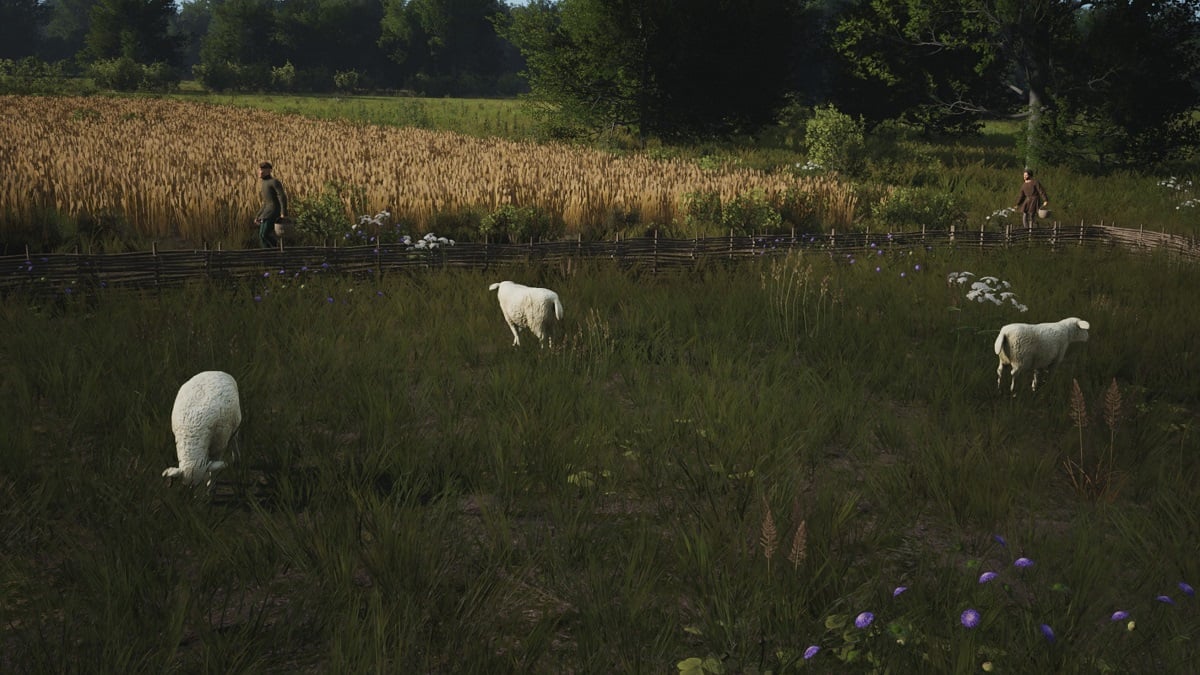 How to get and use Sheep in Manor Lords