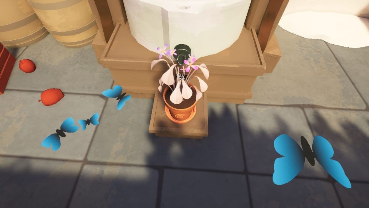 How to Grow Pixie Tears in Botany Manor