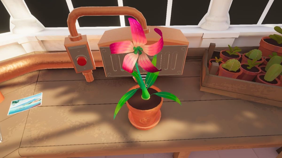 How to Grow the Windmill Wort in Botany Manor