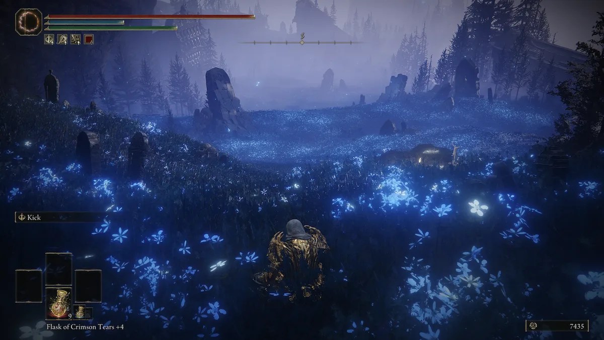 How to get to the Cerulean Coast in Elden Ring