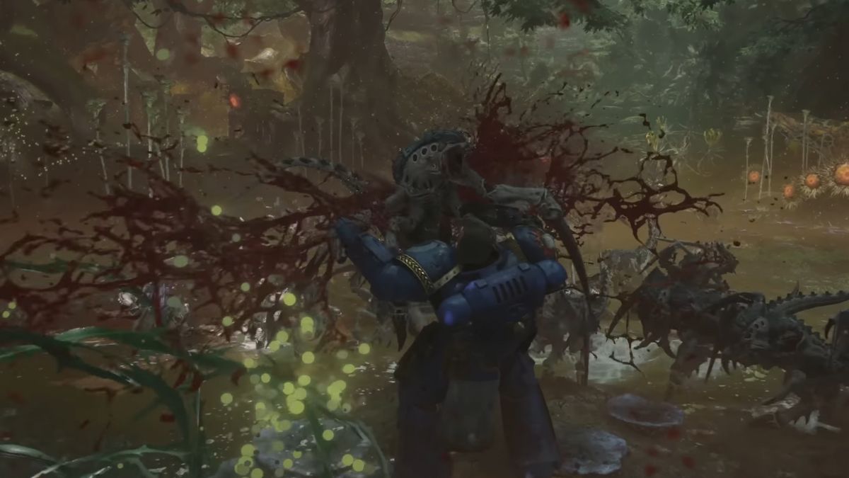Will there be a Warhammer 40,000: Space Marine 2 beta?
