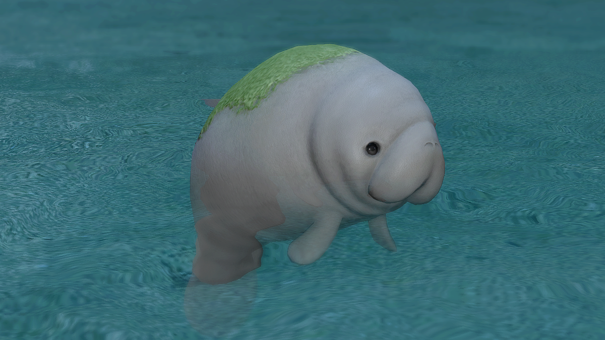 How to get the Petit Punutiy minion in FFXIV Dawntrail
