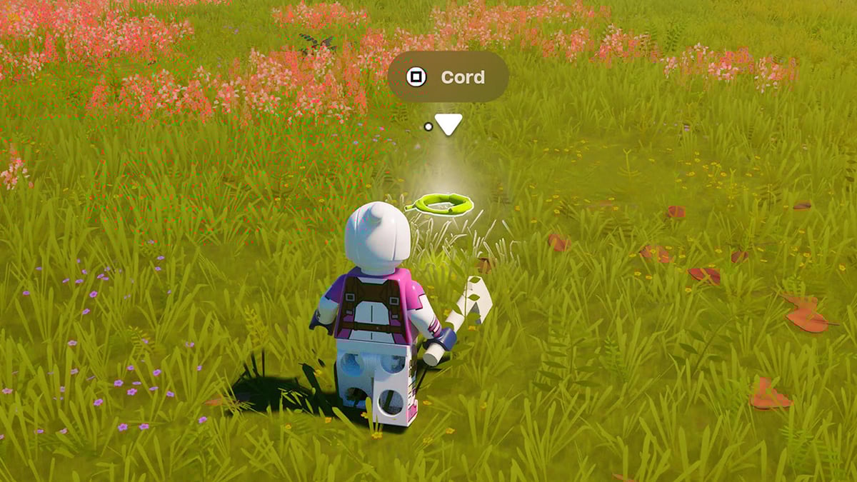 How to get Cord in LEGO Fortnite
