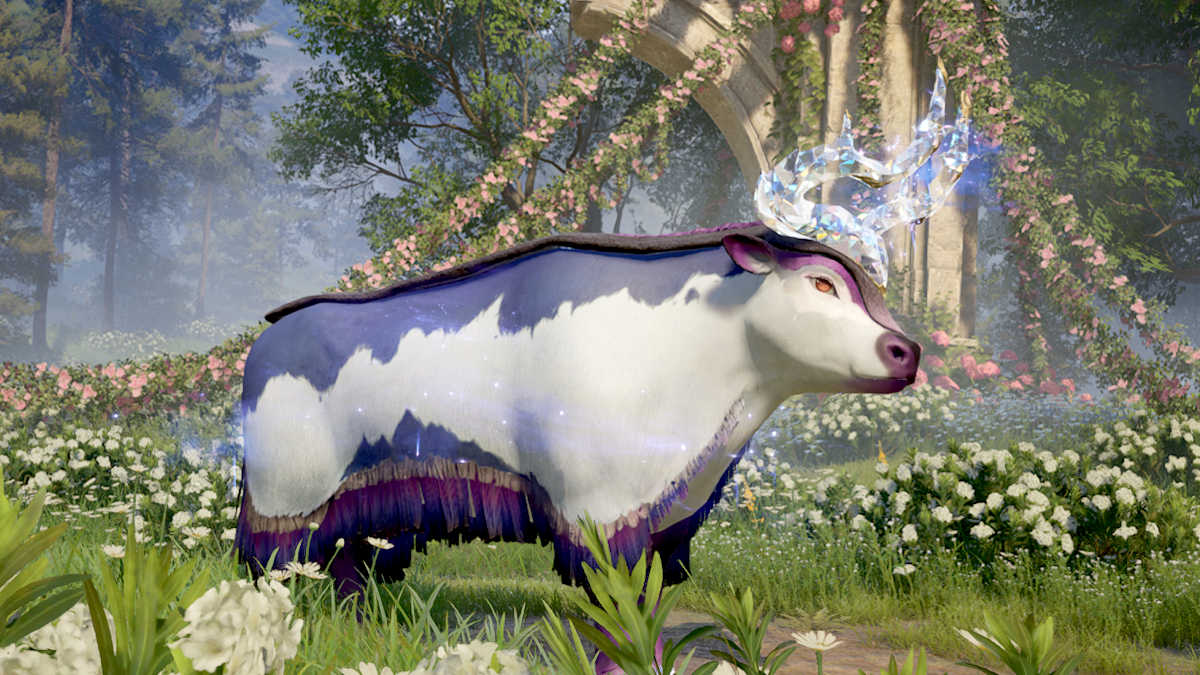 How to take a photo with the blue Bullquet in Infinity Nikki