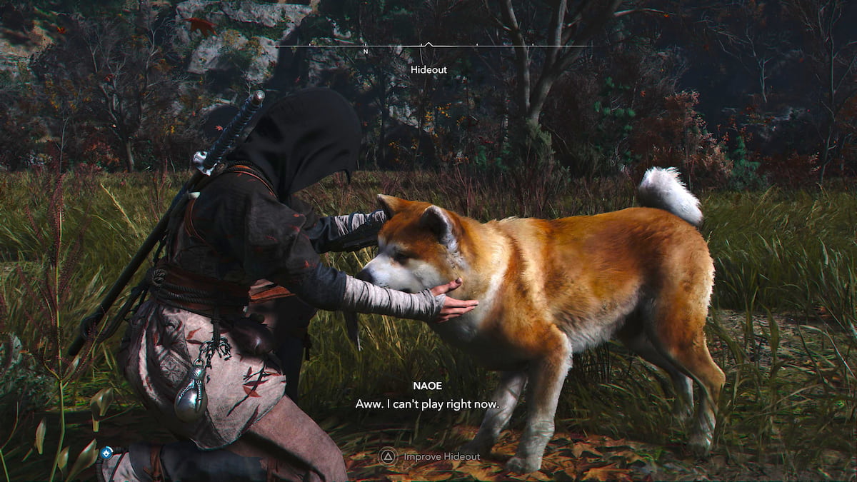 How to adopt a pet in Assassin's Creed Shadows