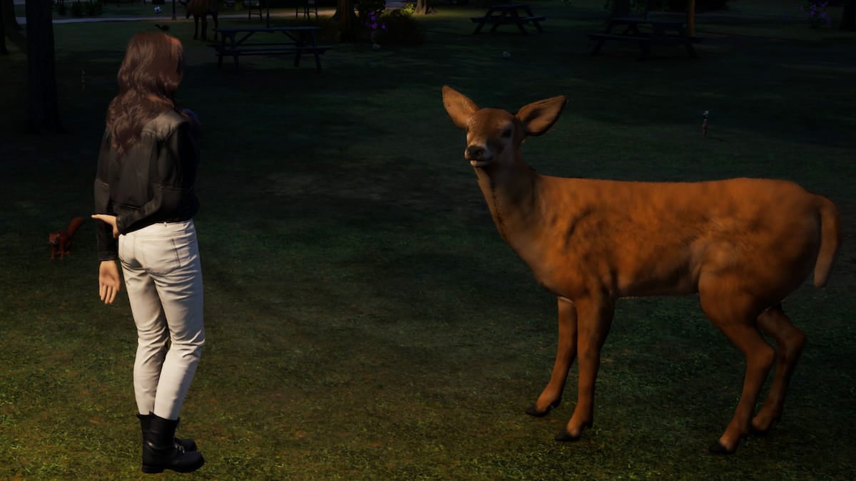 Can you get pets in inZOI?