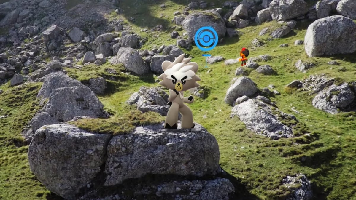 What are your hopes and plans for Go Fest 2025, trainers?