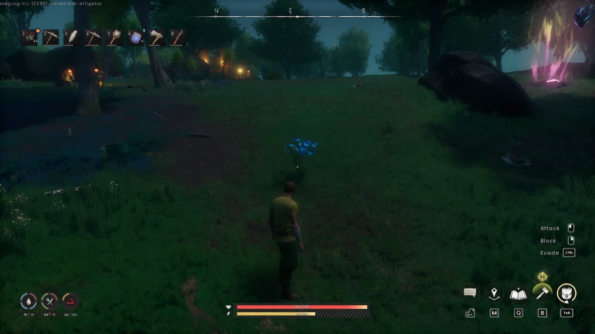 Where to farm Flax in RuneScape Dragonwilds