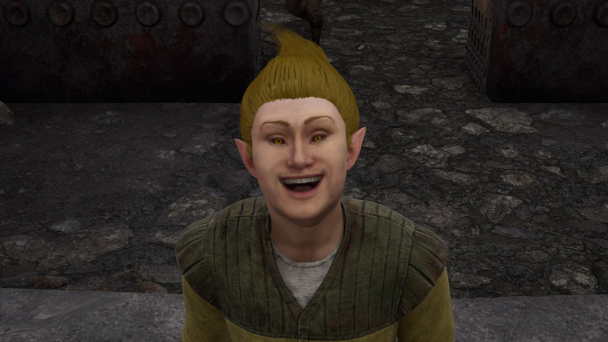 All companions or followers in Oblivion Remastered