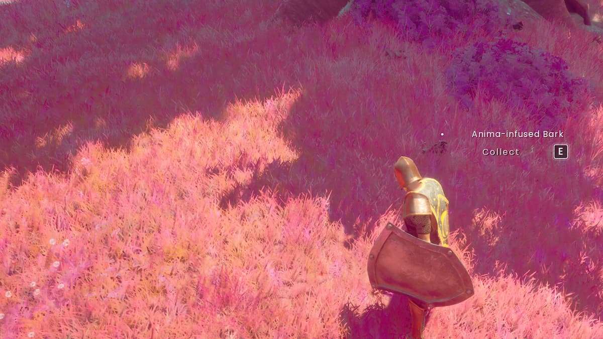 How to get Wild Anima in RuneScape Dragonwilds