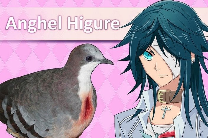 Pigeon-dating sim Hatoful Boyfriend is coming to PS4 and Vita