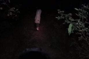 Nippon Ichi teases a new horror game for Vita