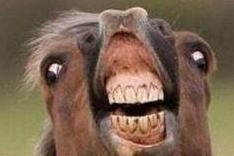 The Eurogamer Podcast #22: Horse Attack!