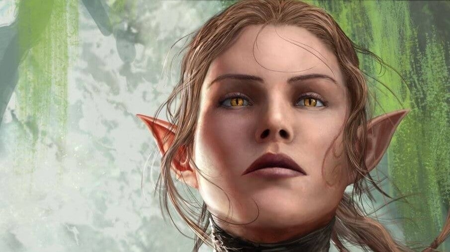 Divinity: Original Sin 2 is getting gift bags
