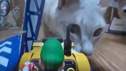Mario Kart Live: Home Circuit launches today and it's getting in the way of people's cats