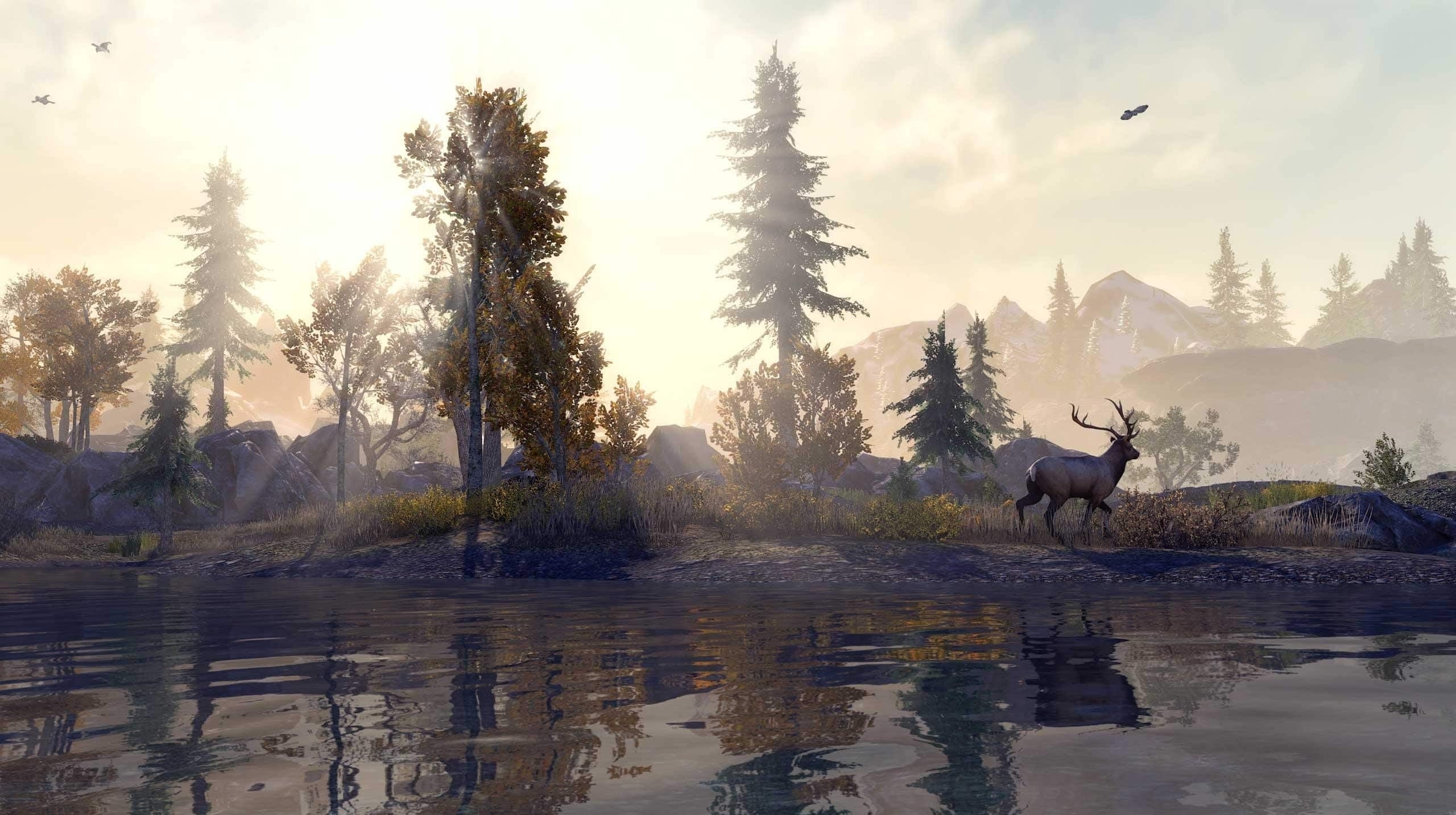 Elder Scrolls Online's next-gen update delayed by a week