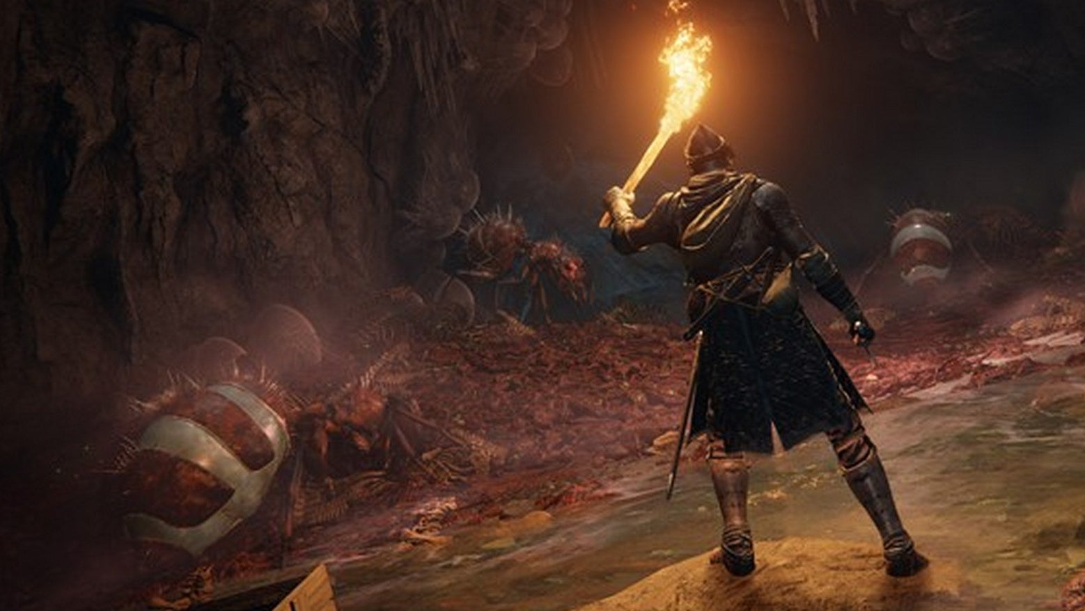 Elden Ring's minimum PC system specs were published and then quickly deleted again