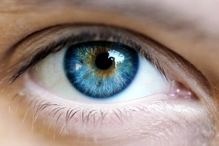Playing Tetris helps treat lazy eye, doctors report