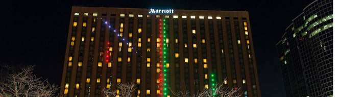 World's largest game of Pong celebrates anniversary