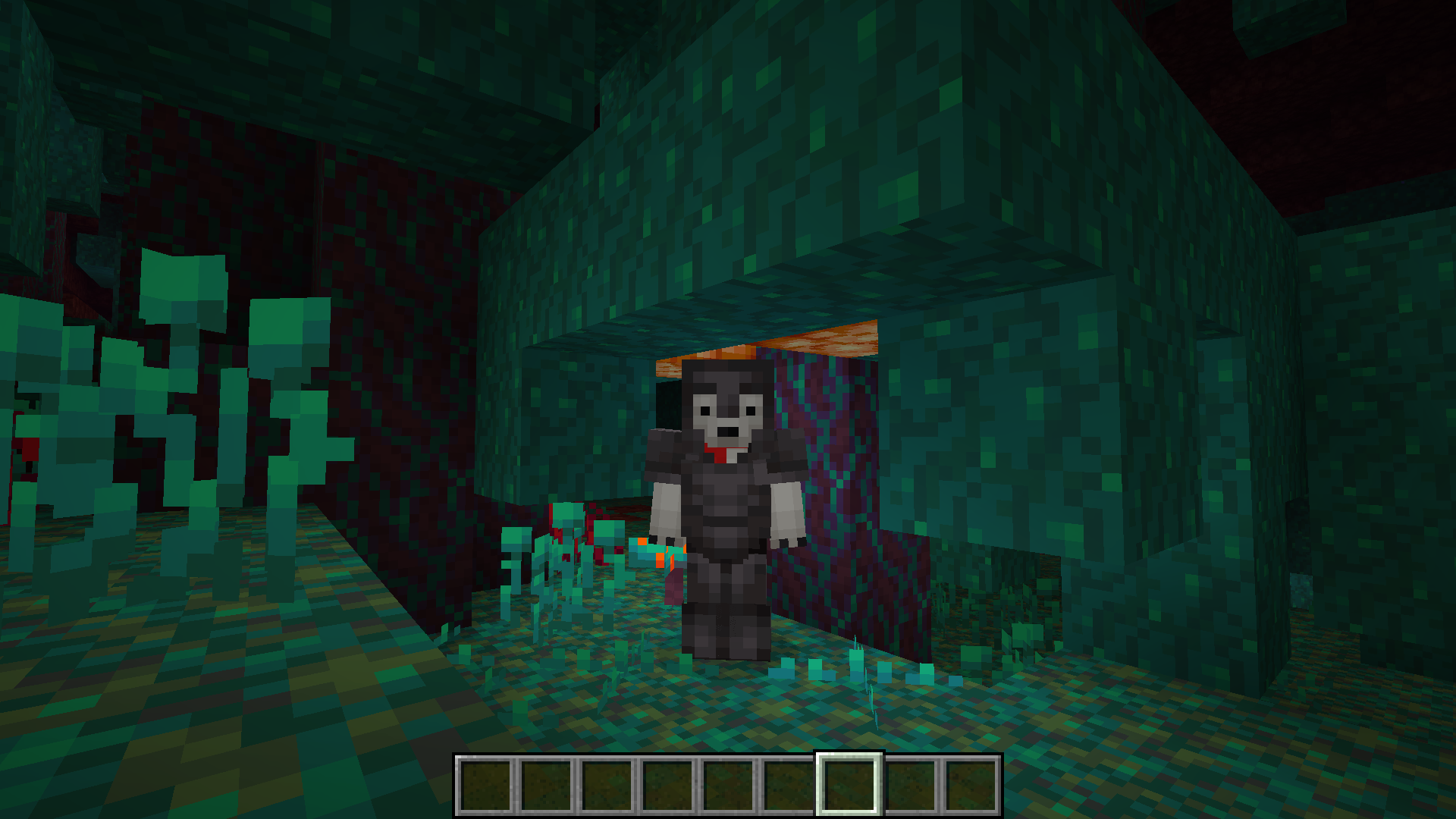 You can play the first snapshot of Minecraft's Nether Update