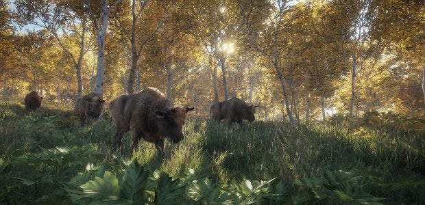 theHunter: Call of the Wild release date announced