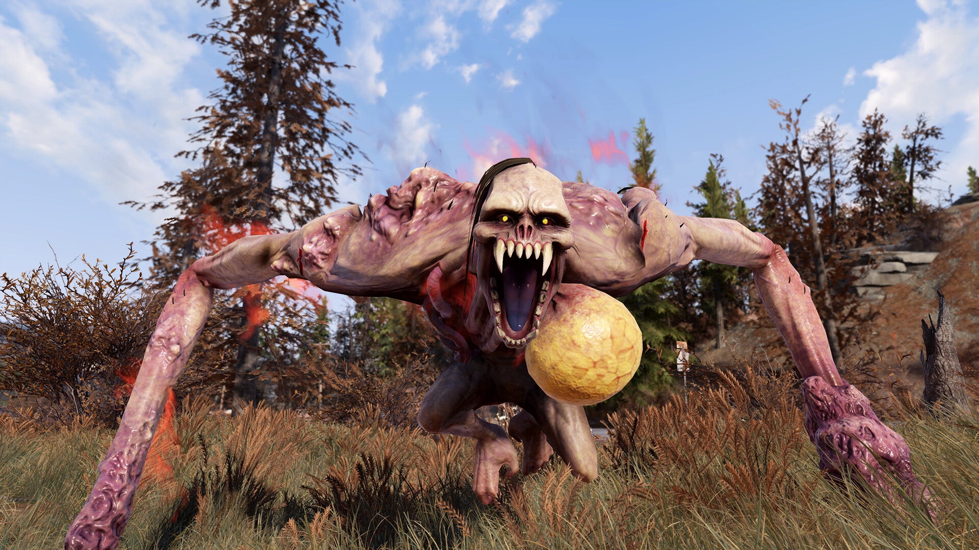Todd Howard says Fallout renaissance is "beyond anything" he's seen in his career