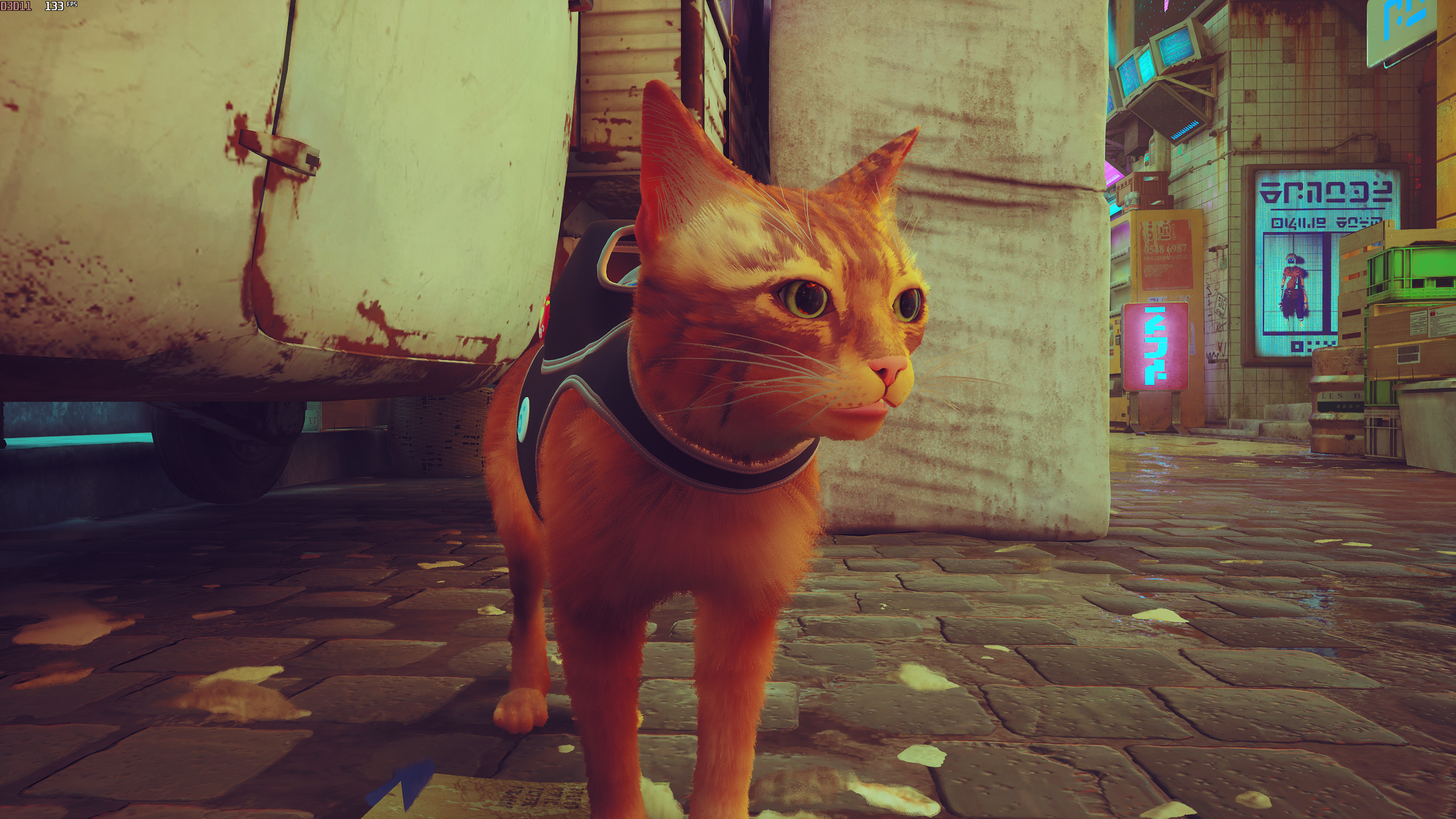 Stray PC system requirements and the best settings to use
