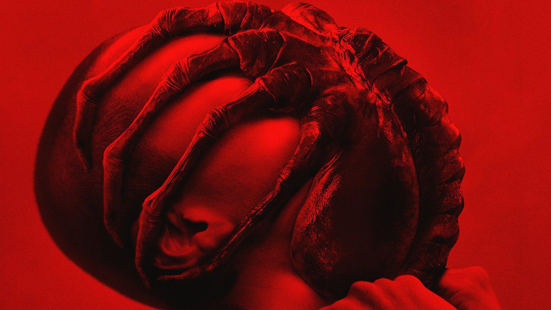 Alien: Romulus wants to remind you what happens when you scream in space in its first full trailer