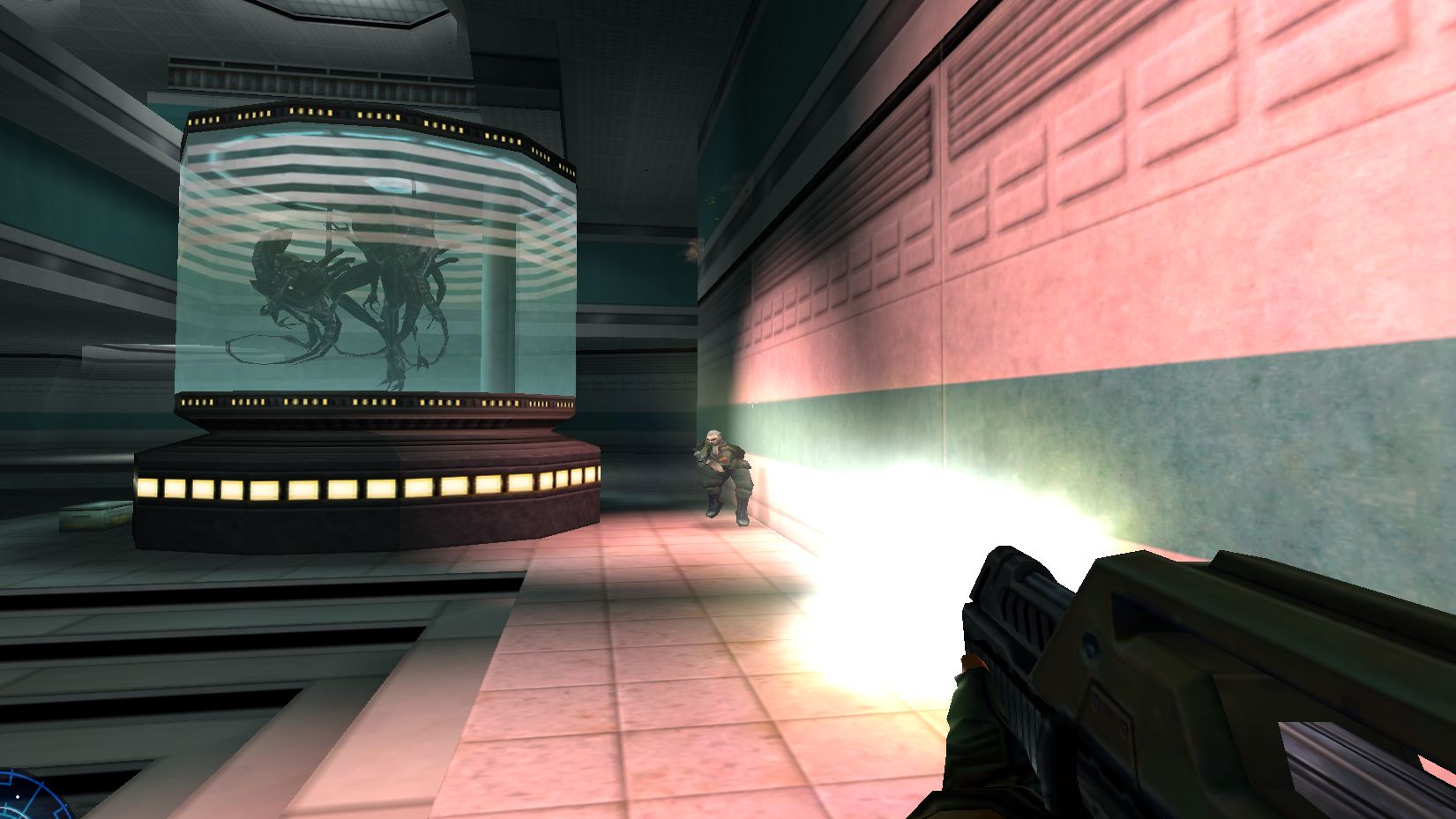 You can still play Aliens Versus Predator 2 multiplayer today